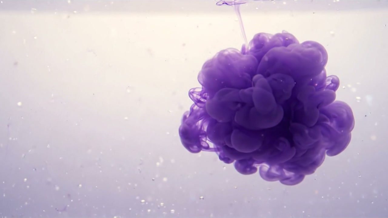A calm cloud of violet ink at rest in pale water